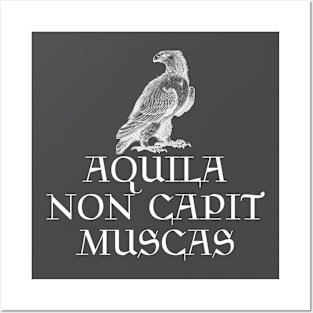 Aquila Non Capit Muscas Posters and Art